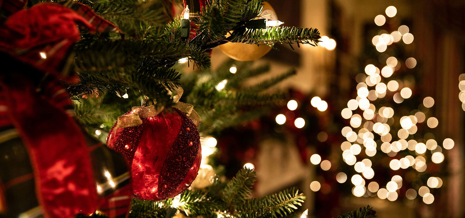 The Leconfield Pub & Kitchen - Christmas Parties